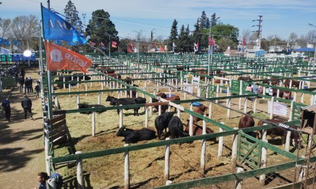 Ya se vive la Expo Rural de Jesús María