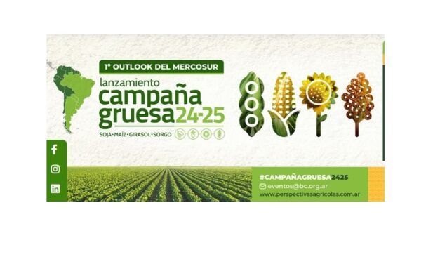 Primer Outlook del Mercosur: LANZAMIENTO DE LA CAMPAÑA GRUESA 2024/25