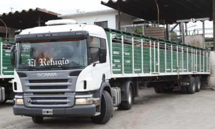 Crece la autogestión del Documento de Tránsito electrónico – DTe