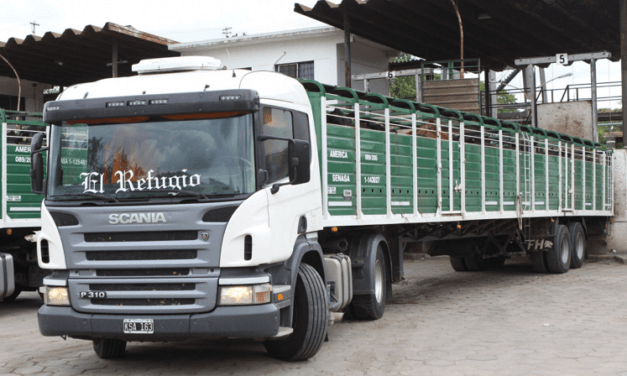 Crece la autogestión del Documento de Tránsito electrónico – DTe