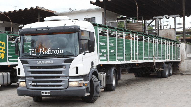 Crece la autogestión del Documento de Tránsito electrónico – DTe