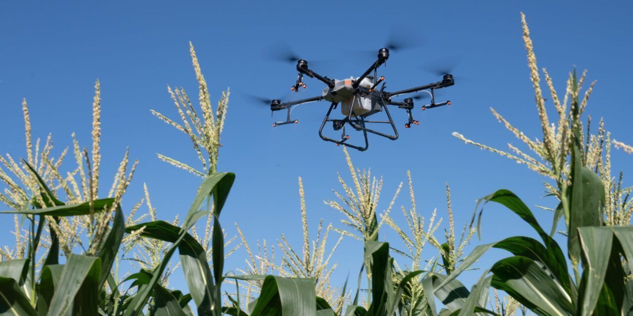 Drones agrícolas: oportunidad para la producción en Rafaela
