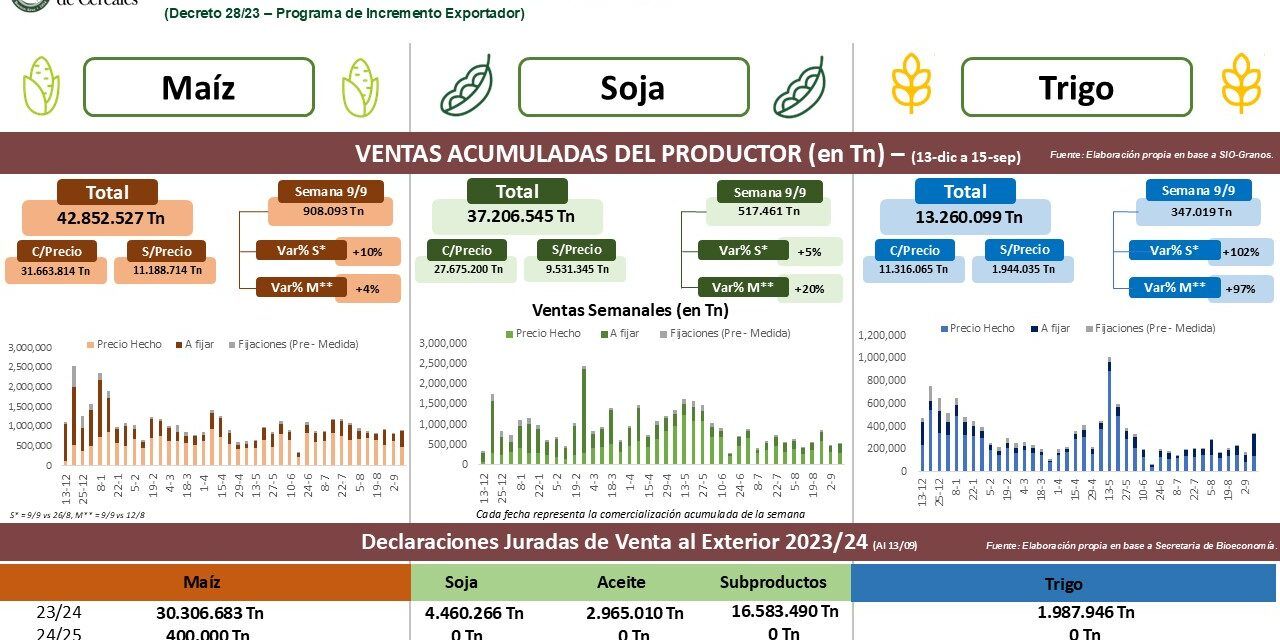 El avance en la comercialización de granos en Argentina