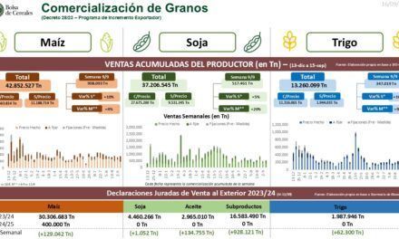 El avance en la comercialización de granos en Argentina