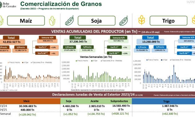 El avance en la comercialización de granos en Argentina