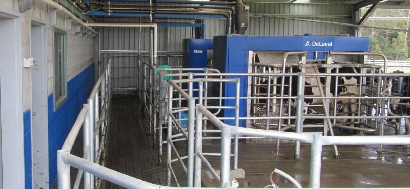La lechería argentina: tecnología, inversión y sistemas
