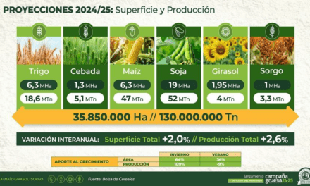 Lanzamiento de la campaña gruesa 2024_25