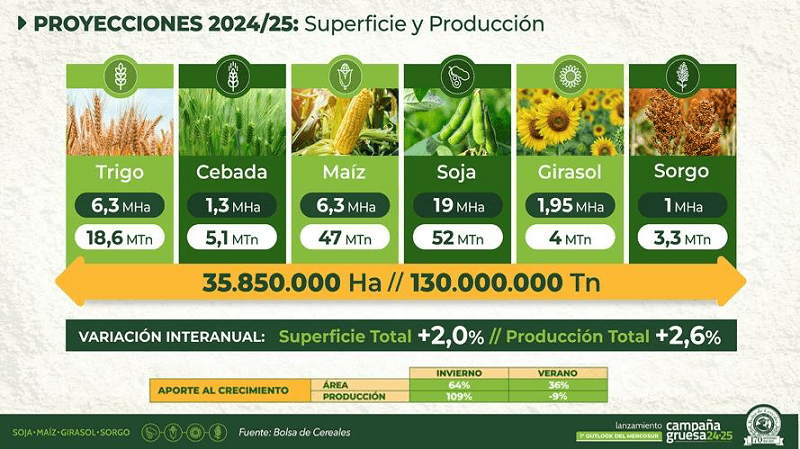 Lanzamiento de la campaña gruesa 2024_25