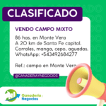Vendo Campo Mixto