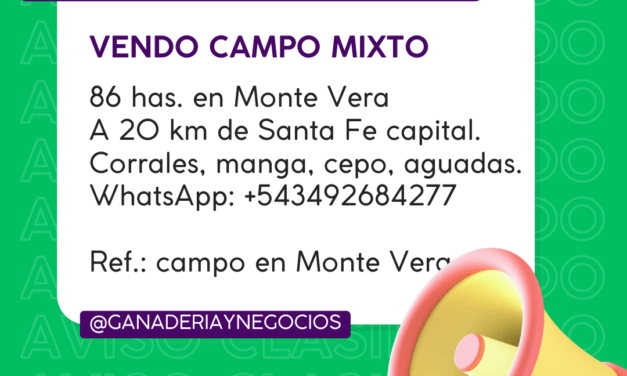 Vendo Campo Mixto
