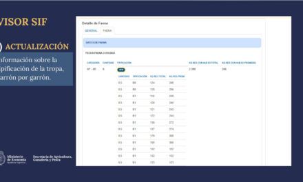 Simplifican el acceso de los resultados de faena a productores