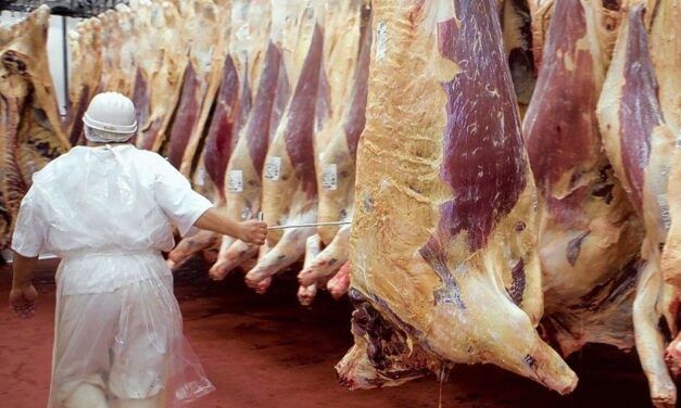 Récord de exportaciones de carne durante septiembre