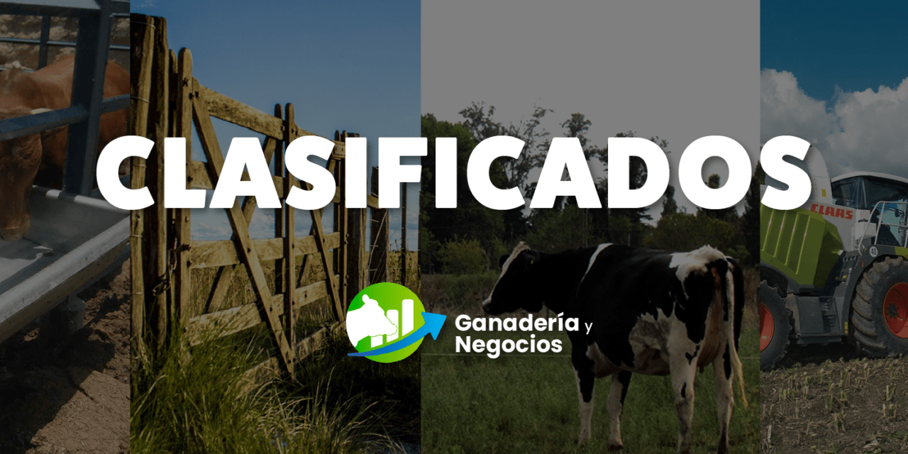 Conocé y publicá en los clasificados en Ganadería y Negocios