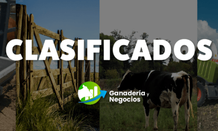 Conocé y publicá en los clasificados en Ganadería y Negocios
