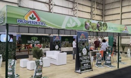 Palo Verde presente en ExpoAlfa 2024