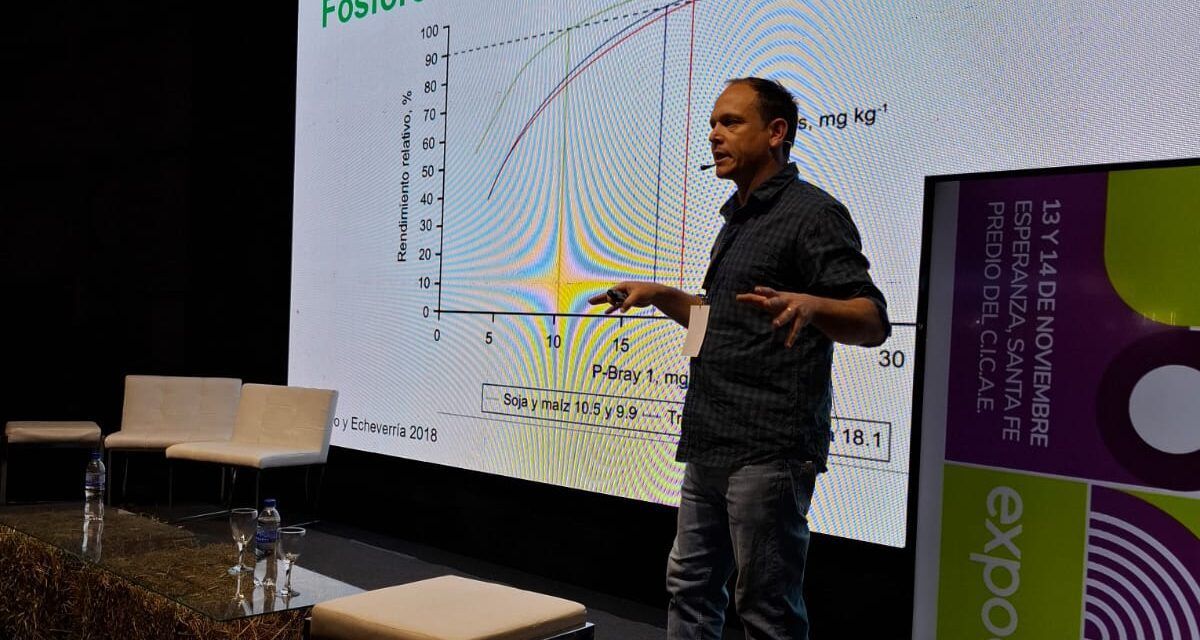 El impacto de la alfalfa en la fertilidad del suelo 