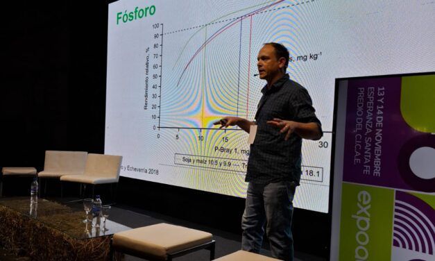 El impacto de la alfalfa en la fertilidad del suelo 
