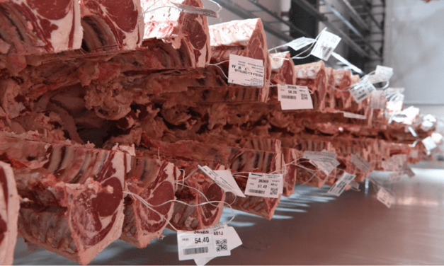 Se abre la exportación a Ecuador de carne bovina con hueso