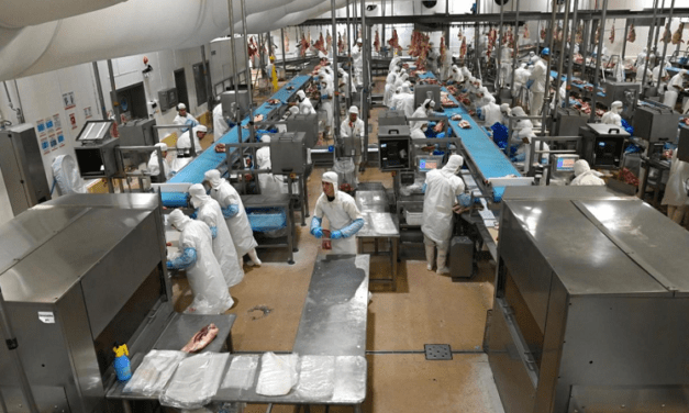 Récord de exportaciones de carne vacuna tras 57 años