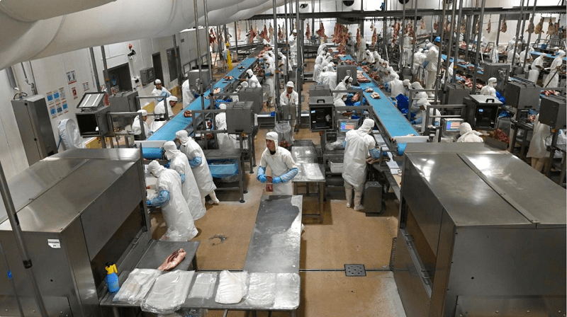 Récord de exportaciones de carne vacuna tras 57 años