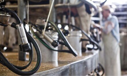 Más de 90 productores tamberos tienen sus Créditos en Litros de Leche