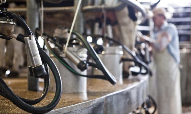 Más de 90 productores tamberos tienen sus Créditos en Litros de Leche