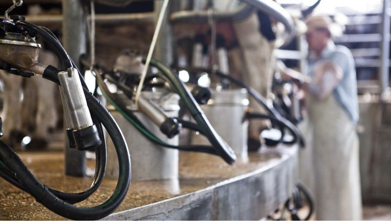 Más de 90 productores tamberos tienen sus Créditos en Litros de Leche