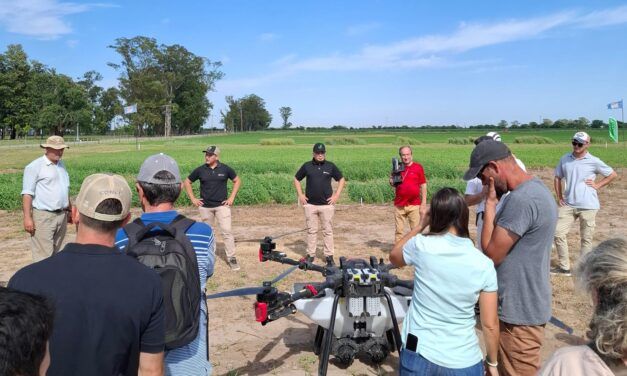 Desafíos del uso de drones aplicadores en pasturas 