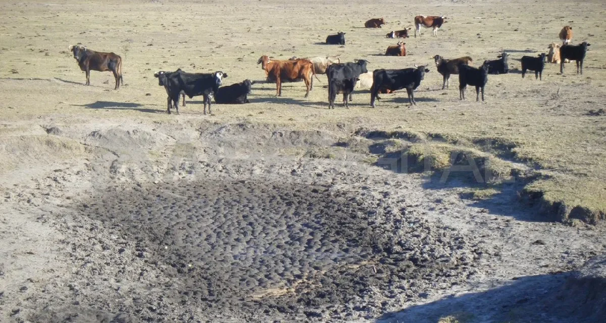 Santa Fe extiende emergencia agropecuaria y anuncia créditos