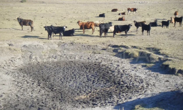 Santa Fe extiende plazos para tramitar la emergencia agropecuaria
