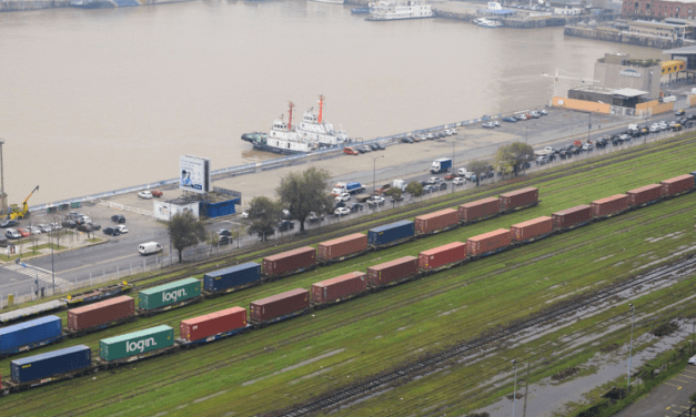 Exportaciones agroindustriales crecieron 51% en volumen