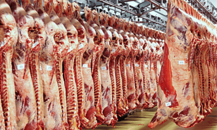 Ganadería en alza: sube el peso de faena y mejora la productividad en 2026