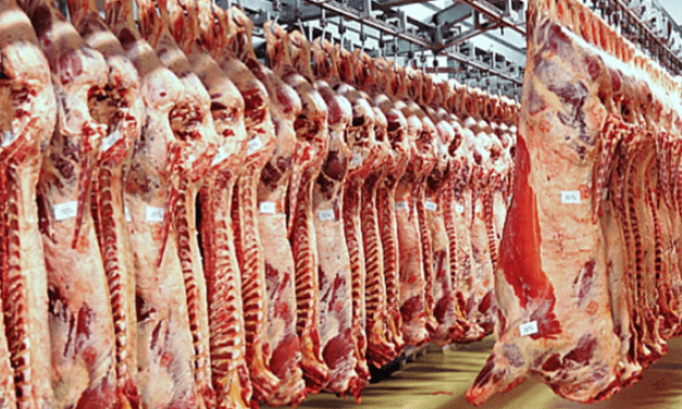 Ganadería en alza: sube el peso de faena y mejora la productividad en 2026