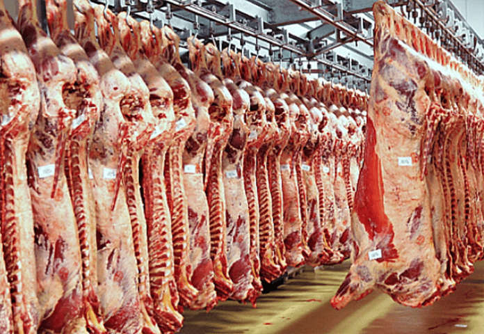 Ganadería en alza: sube el peso de faena y mejora la productividad en 2026
