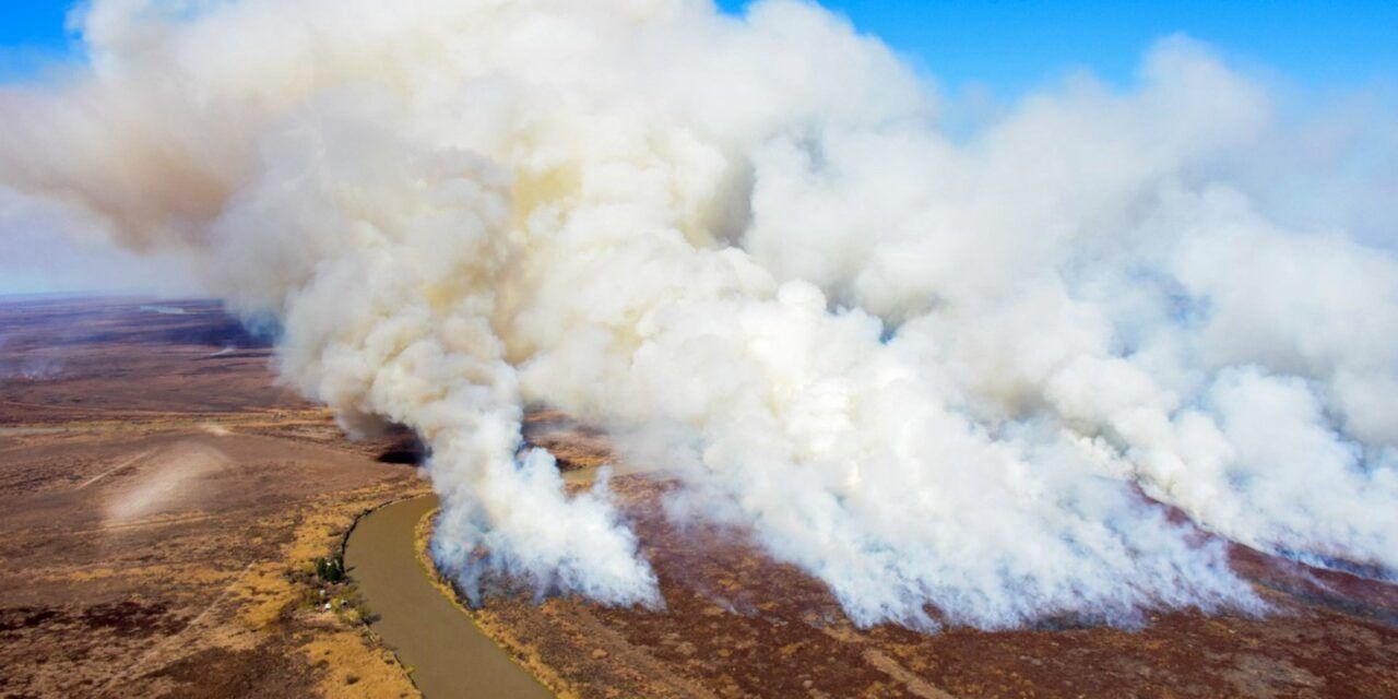 Emergencia ambiental por incendios en Entre Ríos
