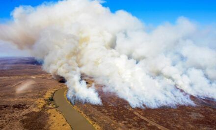 Emergencia ambiental por incendios en Entre Ríos