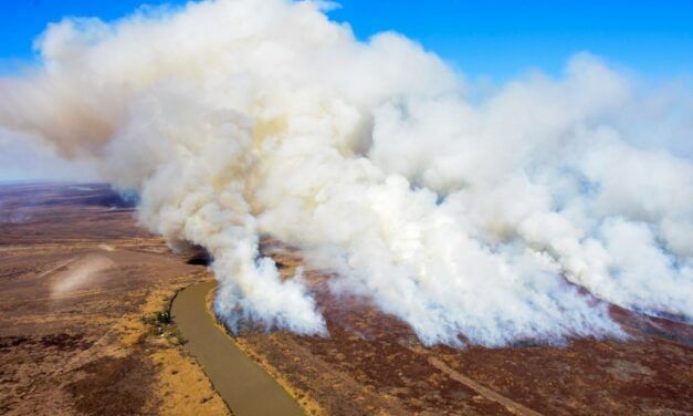 Emergencia ambiental por incendios en Entre Ríos
