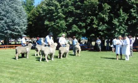 Chubut reduce la presión fiscal sobre el sector ganadero