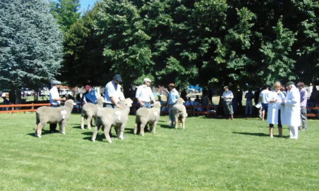 Chubut reduce la presión fiscal sobre el sector ganadero