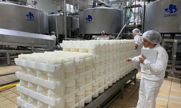 Certificaron 550 toneladas de quesos de exportación cordobeses