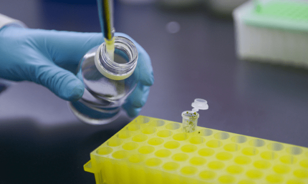 Récord de aprobación de productos biotecnológicos en 2024