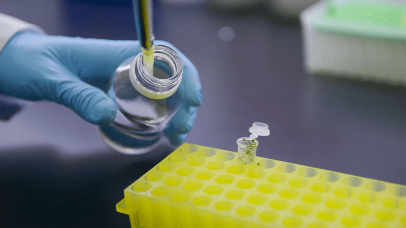 Récord de aprobación de productos biotecnológicos en 2024