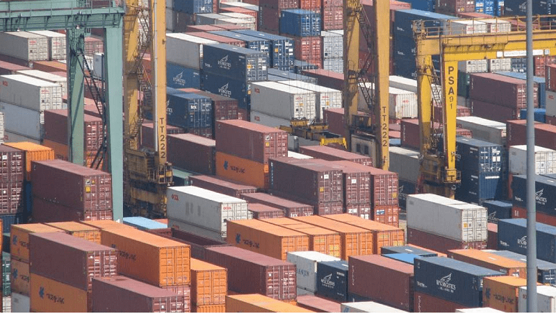 Las exportaciones agroindustriales crecieron 56% en 2024