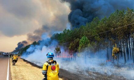 Corrientes en llamas: impacto de los incendios y respuesta oficial