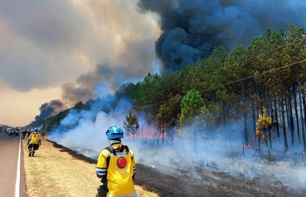 Corrientes en llamas: impacto de los incendios y respuesta oficial
