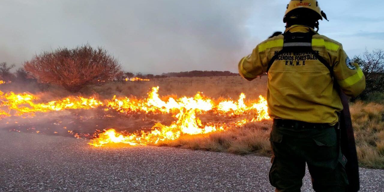 Alertan por un alto riesgo de incendios forestales en San Luis