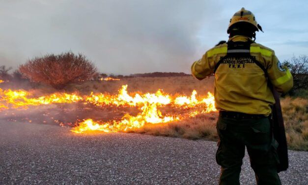 Alertan por un alto riesgo de incendios forestales en San Luis