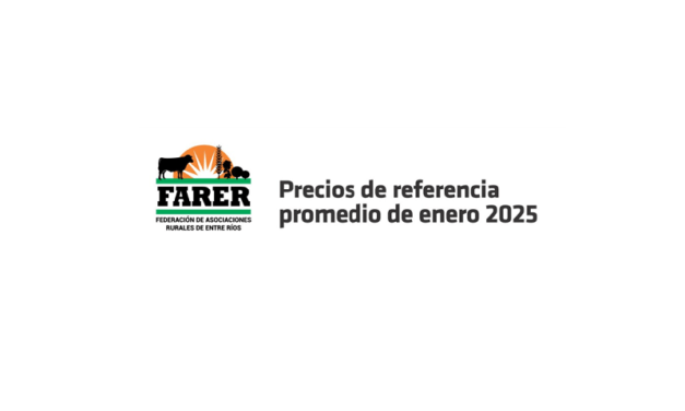 Entre Ríos: precios de la hacienda con mejora moderada