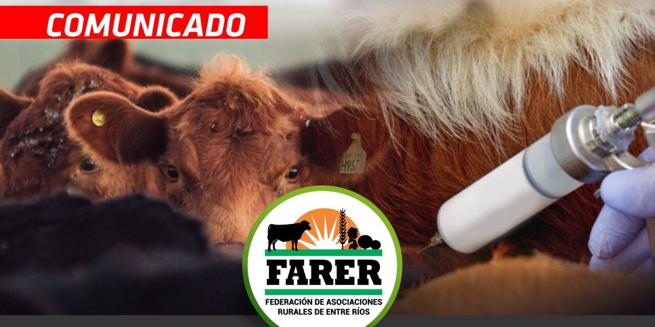 Preocupación por el precio de la vacuna de aftosa en Entre Ríos