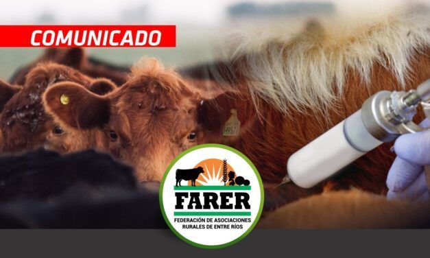 Preocupación por el precio de la vacuna de aftosa en Entre Ríos
